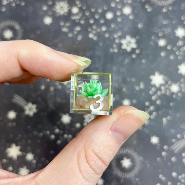 "Eternal Terrarium" - 7 Piece Show Off Set - Logo d20