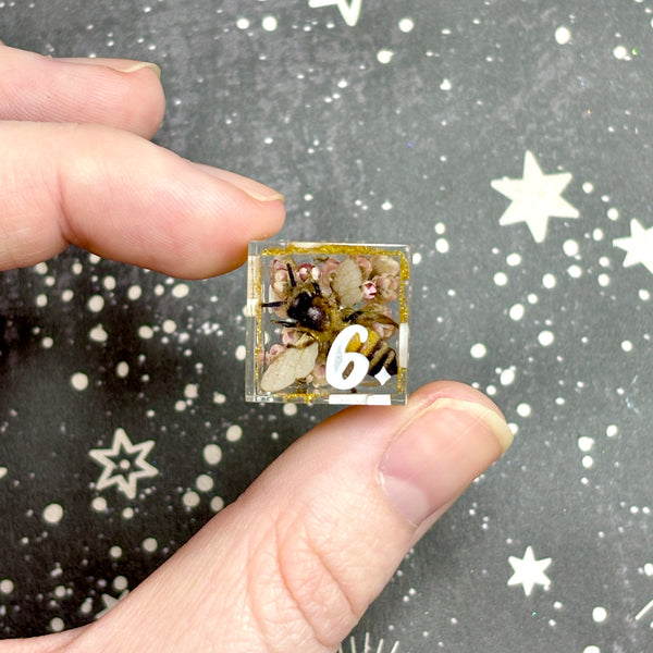 "The Hive" - 7 Piece Show Off Set - Logo d20