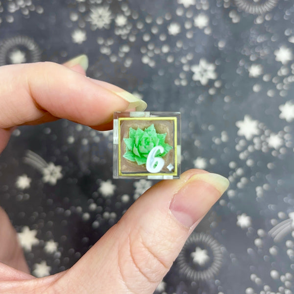 "Eternal Terrarium" - 7 Piece Show Off Set - Logo d20