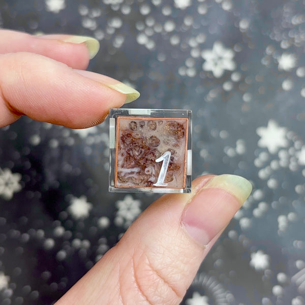 "Terracotta Terrarium" - 7 Piece Show Off Set - Logo d20