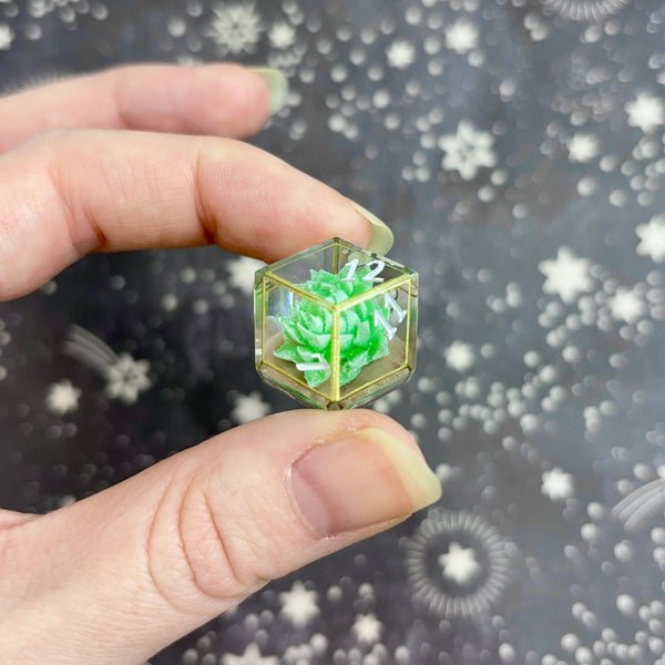 "Eternal Terrarium" - 7 Piece Show Off Set - Logo d20