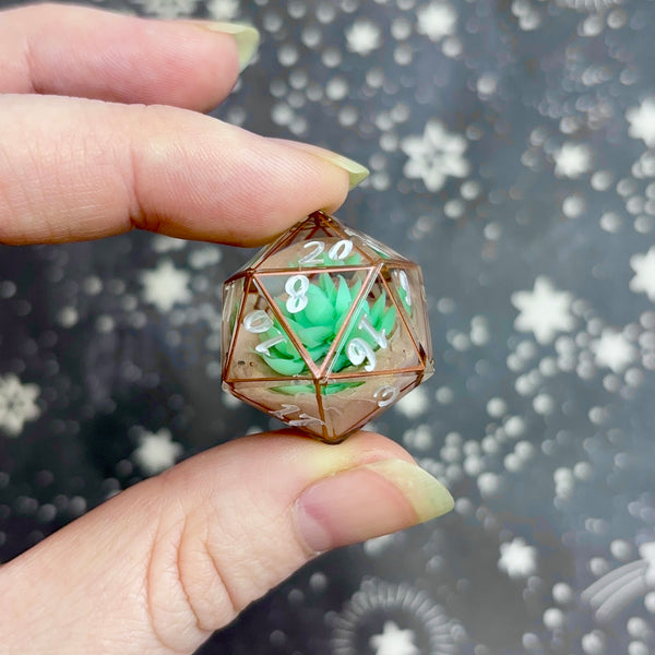 "Terracotta Terrarium" - 7 Piece Show Off Set - Logo d20